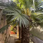 Apartment 4 *
